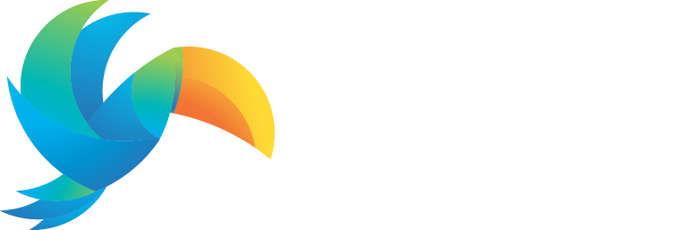 Creative Toucan